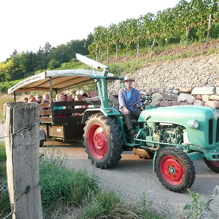 Vulkanstueble فندق