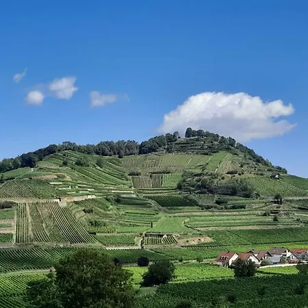 Vulkanstueble فندق Achkarren