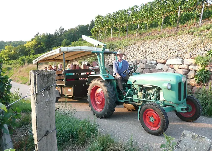 Vulkanstueble Hotell