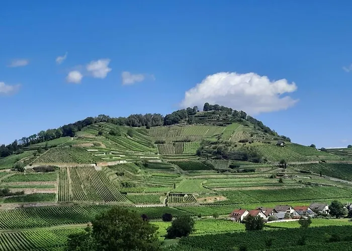 Vulkanstueble ホテル Achkarren