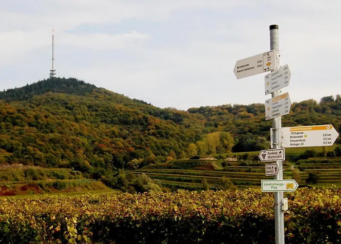 ホテル Vulkanstueble